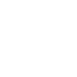 icon-image